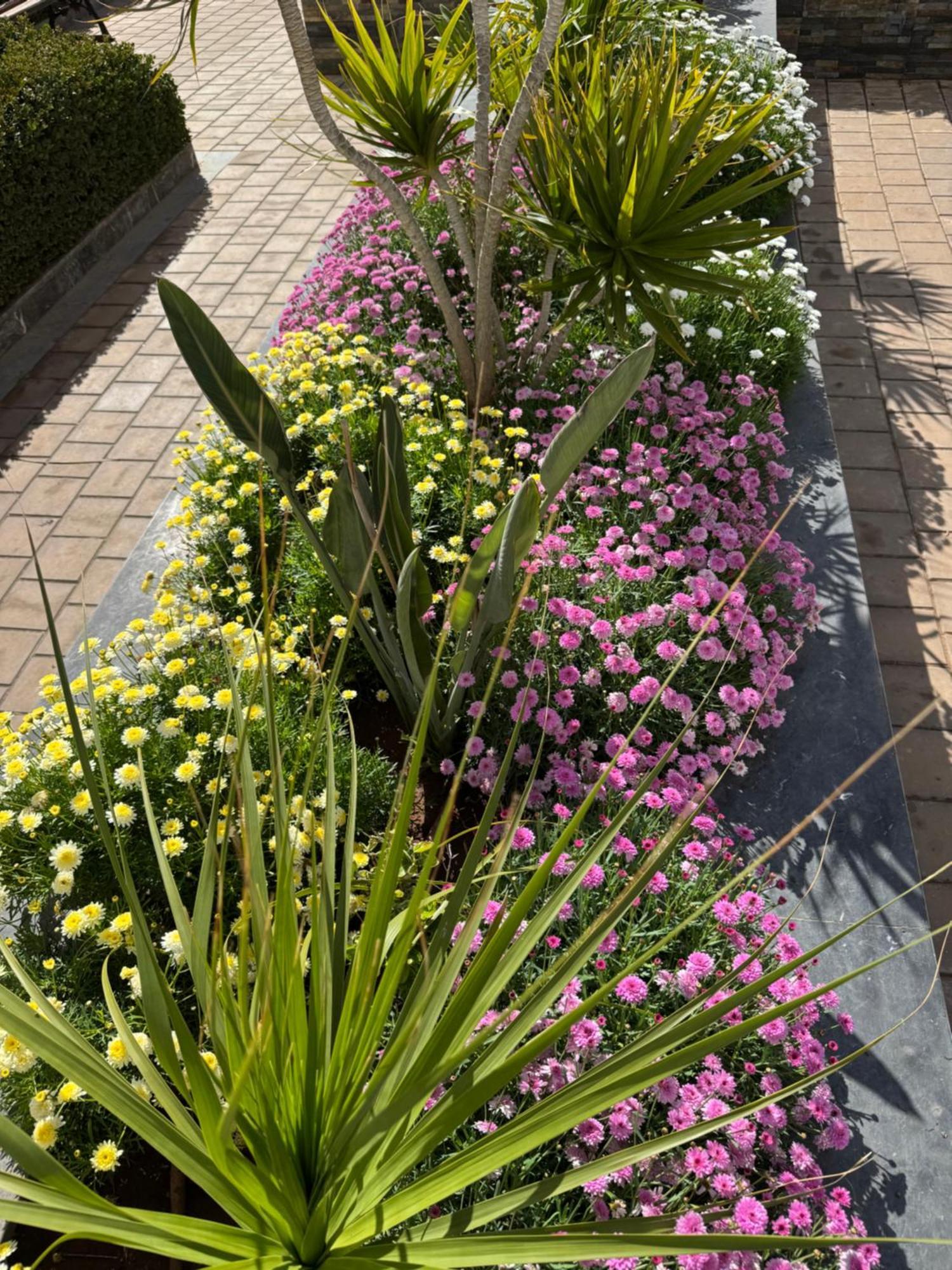 Appartement Luxueux Casa Nearshore Casablanca Eksteriør bilde
